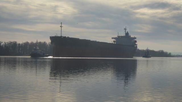APOLO bulk carrier